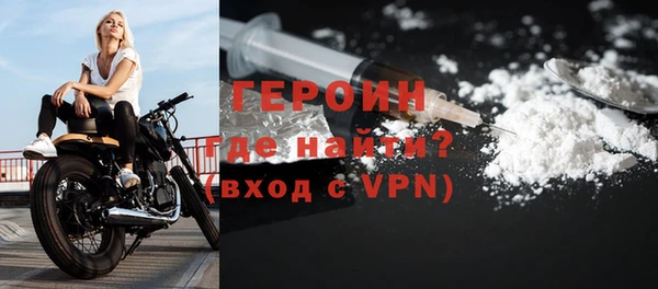 шишки Няндома