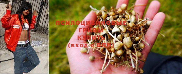 PSILOCYBIN Абаза