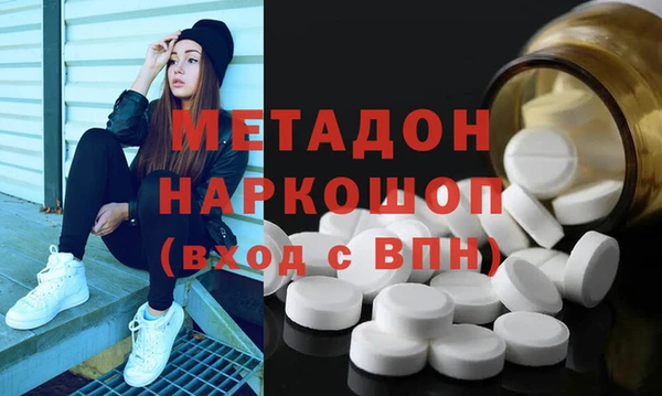 шишки Няндома